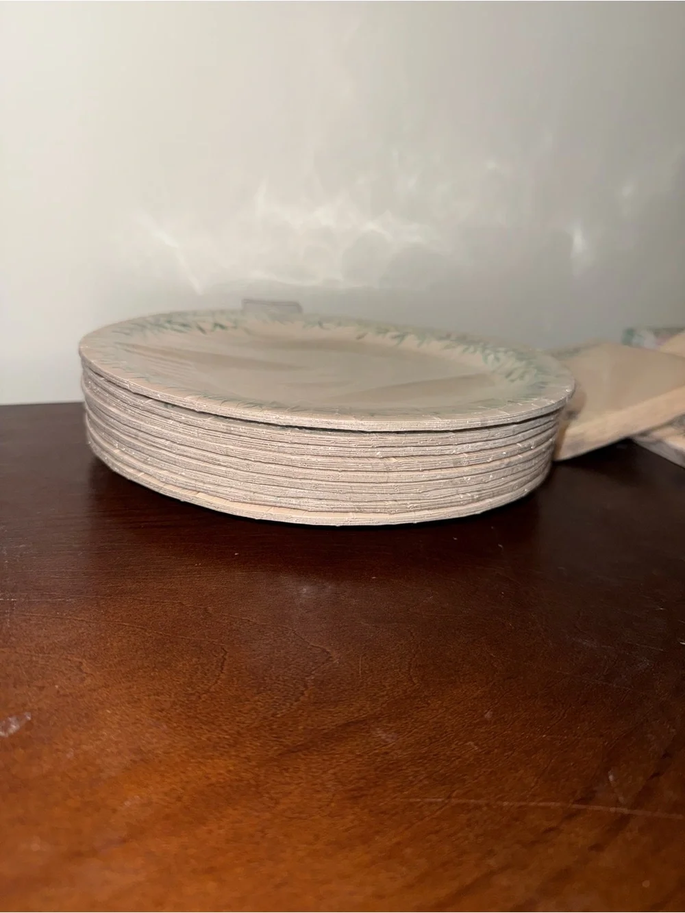 Pier 1 Cream 9” Dinner Plates w/ Green Leaf Border & Matching Napkins Disposabl